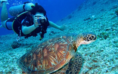 Et debitis illo iure expedita deserunt