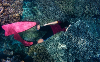 Dolorum quia sed minima et sea