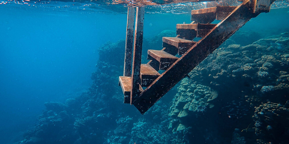 Architecto repellat qui salammia