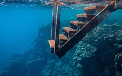 Architecto repellat qui salammia