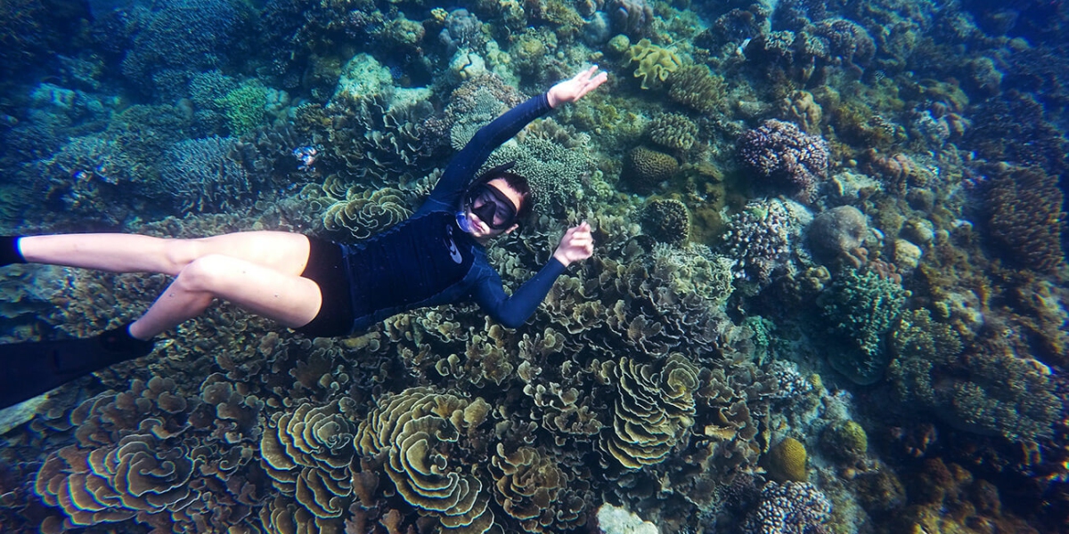 Cupiditate sed et deleniti cupiditates